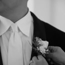 켈리헤어 이미지