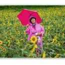 장성공원2 이미지