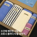 최네일 | 수건 유목민 정착템, 코토나 홈바디 타월 솔직 후기(집들이 선물 추천)