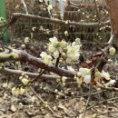 증평농약사 이미지