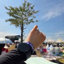 삼락휴게소식당 | 2025년 부인부 여정 (2025년 부산 국제 록 페스티벌, 뮤즈 내한 콘서트 후기)