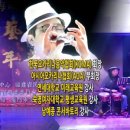 오위드 이미지
