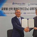 파로스 이미지