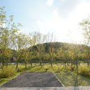 청라캠핑파크 이미지