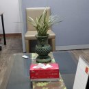 한국다문화행정사사무소 이미지