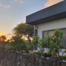 스테이 토랑 이미지