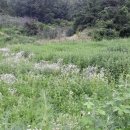 현서면사무소 이미지