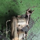 올모터스 이미지