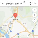 이팝나무 캐스팅 이미지