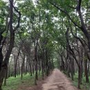 늠내길5코스 정왕둘레길 이미지