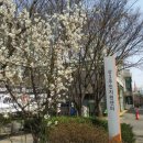 상3주민지원센터 이미지