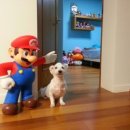 석진이네 이미지