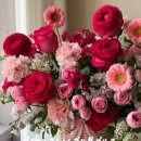 충격! 이재명 정부 첫 보수 출신 장관 임명 임박 이미지