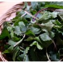 부지깽이 이미지