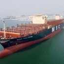 조선약품 이미지