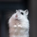 (주)제이엠텍코리아 이미지