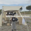진위천 | 캠린이 텐트 추천 I 원터치텐트 아이두젠 아마데우스 T4 진위천유원지 첫 차박 캠핑 후기