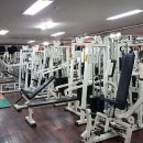 헬스라인