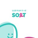 더솔트 이미지