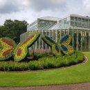 나비부화장 이미지