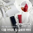 리치상사 | 2025년 연말 선물 추천, 디올 어딕트 립 글로우 버터 105 리치 컬러 - 가성비 디올 선물, 립밤 추천