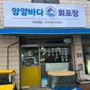 동갑부부 캠핑일기9 소나무그늘이 시원한 강원도 양양 솔바다 캠핑장
