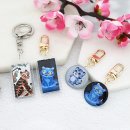 까치열쇠 이미지