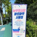 장마루농장 | 목동파리공원 농부의 시장 바로마켓서울점 투어