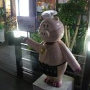 하남돼지집용인
