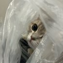 메디김약국 이미지