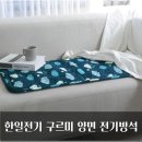 한일전기 구르미 양면 전기방석 따땃한 겨울나기 준비 완료! 찐구매후기