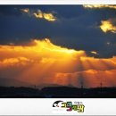 반도흑염소 농장 이미지