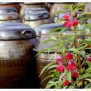 달빛에 물들이고 이미지