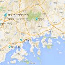 보성녹차오리탕 이미지