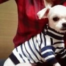 혜찬