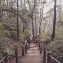 알즈너맑은 | 서울에서 오를만한 산 청계산