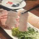 충대빛나약국 | 참치회에 진심인 사장님의 참치오마카세 피셔바 당산맛집 내돈내산