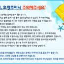 한진관광㈜ 이미지