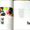 쉽게 배우는 DSLR 카메라 이미지