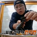 돌섬휴게소 이미지