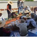 서구치매안심센터 이미지