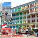 태백경찰서 앞 횡단보도 | 8. DAY2_알록달록 싱가포르 즐기기 | 싱가포르 관광지 추천 올드힐 스트리트 경찰서 스리 마리암만 사원