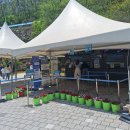 충북여행 충주여행 필수코스 활옥동굴 투명보트 후기