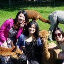 선한농장 이미지