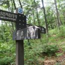 선석산 등산로 Daum카페