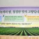 신안센터-17 이미지