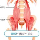 올바른필라테스&PT 이미지