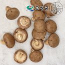 웅이농장 이미지