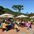 평안꽃식물원 이미지