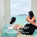 인생쉼표 | 제주 카페 쉼표 내돈내산 솔직후기｜금능해수욕장 뷰가 너무 예쁜 포토존 카페
